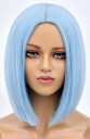 Short Wig J295 6