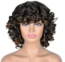 Short Wig J297 4