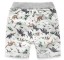 Shorts mit Dinosaurier-Print für Jungen J1329 6