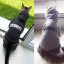 Sicherheits-Sweatshirt für Hunde und Katzen 6