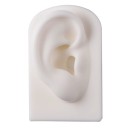 Silikonmodell av högra örat 7,8 × 4,9 × 4 cm Mjuk träningsmodell för piercing och tatuering 1