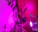 Sisäkasvivalo 252 LED 18W 2 päätä 2
