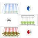 Sistem hidroponic inteligent cu WiFi și pompă automată, 14 gauri, rezervor de 5 l, lumină LED pentru creștere, alb, pentru cultivarea plantelor 3