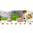Sistem hidroponic inteligent cu WiFi și pompă automată, 14 gauri, rezervor de 5 l, lumină LED pentru creștere, alb, pentru cultivarea plantelor 4