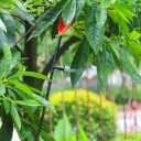 Sistema di irrigazione a nebbia 4