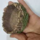 Skål för reptiler och ormar 6 cm Terrariedekoration i form av en trädstam För vatten och foder 3