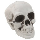 Skalle statyett 2