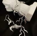Skeletøreringe til kvinder 7
