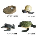 Skildpadde livscyklusfigurer 4 stk. 2