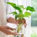Sklenená váza 8 cm s korkovým viečkom s otvorom Priemer 6,5 cm Minimalistická dekorácia Jednoduchý štýl Pre sušené a rezané kvety 3