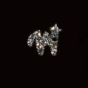 Σκουλαρίκια τύπου πεκί 46