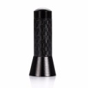 Skrubar bilantenne af kulfiber 5