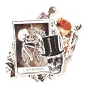 Skull klistermärken 14 st 2
