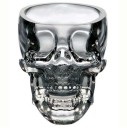 Skull Shaped Glasses 2