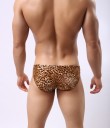 Slips de leopardo para homem 6