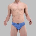 Slips en coton pour hommes - 5 pièces 7