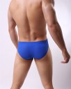 Slips pour hommes A1344 9
