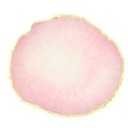 Smykkeplade C559 10