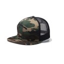 Snapback în rețea 8