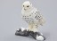 Snowy Owl - figurină 2