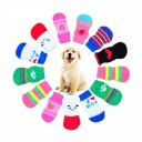 Socks for Small Dogs - 4 Pieces 2