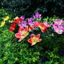 Solar-LED-Lampe mit Blumen aus Seidenmaterial, Solarenergie, ideal für Garten und Hof 12