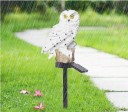 Solar Stake Light Owl 8