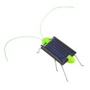 Solbille 2
