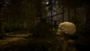 Sons Of The Forest Steam Account 2
