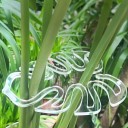 Soporte de plantas en forma de hoja de monstera 14 × 9 cm, soporte transparente para tallos de plantas de interior y trepadoras 2