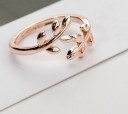 Sormus D2463 17