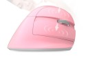 Souris ergonomique Delux M618 Mini 4