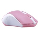 Souris sans fil de voyage 1200 DPI 6
