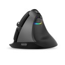 Souris sans fil verticale 1