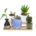 Sous-plat pour pot de fleurs 3
