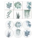 Sous-verre en bois avec motif de plantes 1