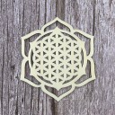 Sous-verres en bois sculptés 10 pcs 8