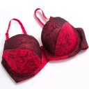 Soutien-gorge en dentelle grandes tailles J2909 5