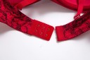 Soutien-gorge en dentelle grandes tailles J2909 2