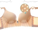 Soutien-gorge respirant Bella J2712 7