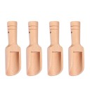 Spice Scoop Set of 4 3