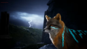 Spirit of the North 2 EU PS5 CD Kulcs 6