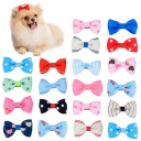 Sponka para pequenos cães com laço 20 unid 2
