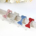 Sponte pour petits chiens avec des pierres 4