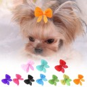 Sponte pour petits chiens avec nœud 10 pcs C899 2