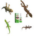 Sprei împotriva șopârlelor 50 ml cu uleiuri naturale rozmarin lavandă ulei de ricin hidrogenat repelent pentru protecția casei și grădinii 4