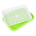 Sprouting Tray with Mesh 3