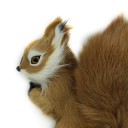 Squirrel en peluche 2