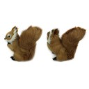 Squirrel en peluche 4