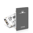 SSD-kiintolevy K2339 3